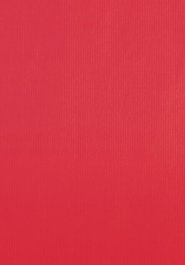 Bolsa De Papel Tv Celulosa 40X15X45 Cm Rojo Paquete De 25