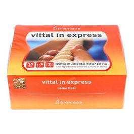 PLAMECA Vital In Express Jalea Real 20Amp para Rendimiento Mental e Intelectual