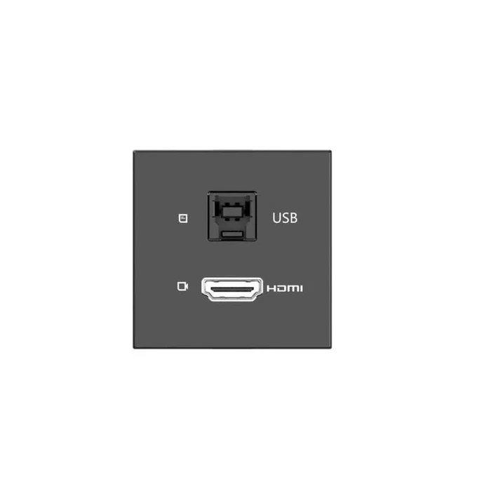 Kramer Módulo de conectividad pasiva para salas con 1 puerto HDMI y 1 puerto USBB - negro Kramer Módulo de conectividad pasiva para salas con 1 puerto HDMI y 1 puerto USBB - negro