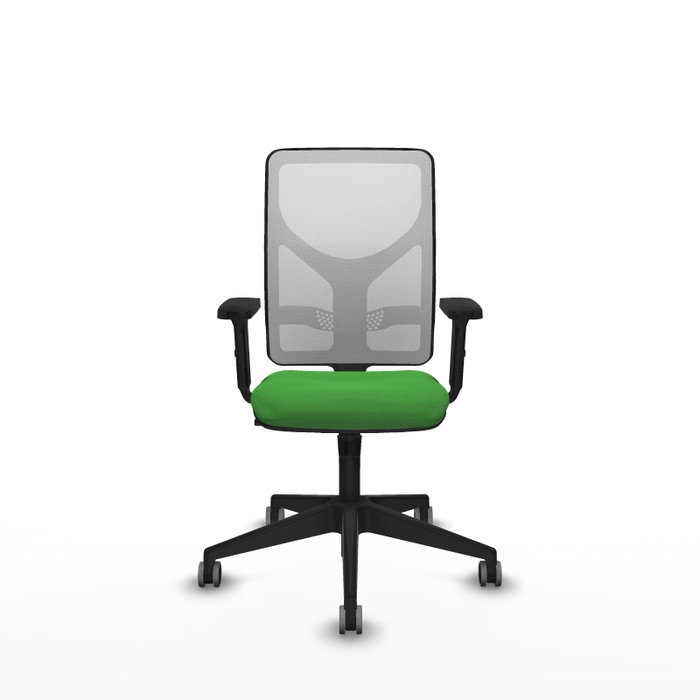PIQUERAS Y CRESPO Silla de oficina Motilla con mecanismo Sincro, Tela Verde y Malla Blanca PIQUERAS Y CRESPO Silla de oficina Motilla con mecanismo Sincro, Tela Verde y Malla Blanca