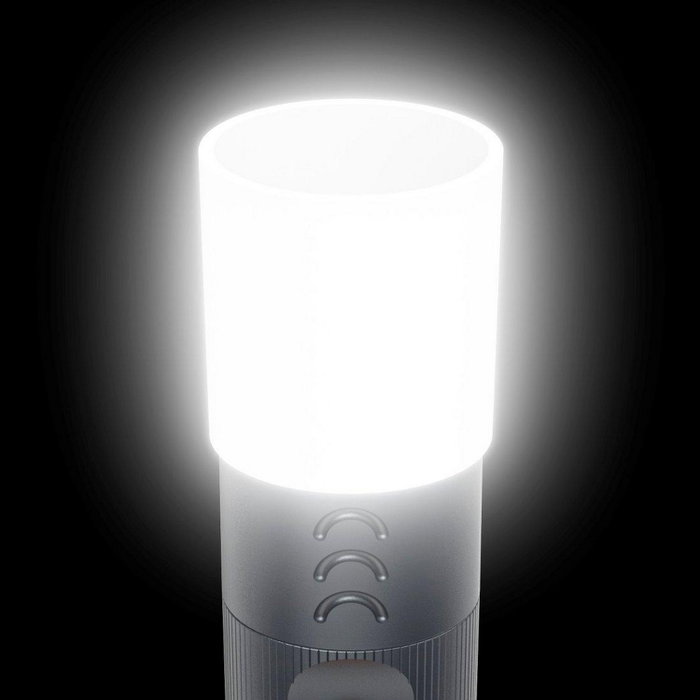 Hama FLX1000 Linterna de mano LED Gris 1000 lm