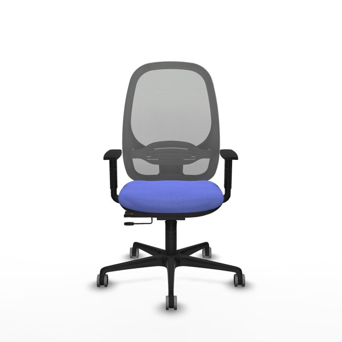 PIQUERAS Y CRESPO Silla de oficina Cilanco con mecanismo Sincro/Traslack, Azul claro y Gris PIQUERAS Y CRESPO Silla de oficina Cilanco con mecanismo Sincro/Traslack, Azul claro y Gris