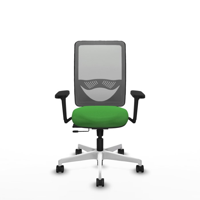 PIQUERAS Y CRESPO Silla de oficina Zulema con mecanismo Sincro/Traslack, Verde y Gris PIQUERAS Y CRESPO Silla de oficina Zulema con mecanismo Sincro/Traslack, Verde y Gris