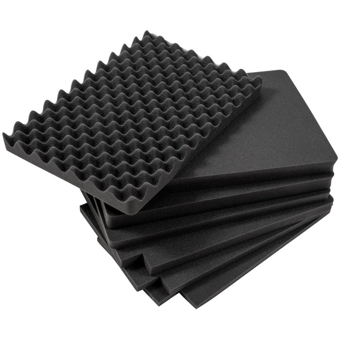 B&W Outdoor Case Type 6700 Negro con Inserto de Espuma