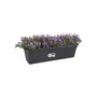 Elho Balconniere Green Basics 40 Jardinera para Exterior y Balcón L 16.5 x W 39 x H 13.7 cm Vida Negra