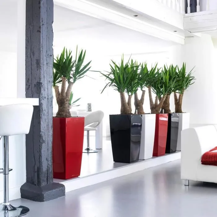 Lechuza LEC4008789181930 Maceta Cubico Premium 40 Rojo con Reserva de Agua Kit Completo