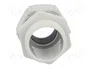 Lapp SKINTOP 53111430 Prensaestopas M25x1.5, Gris, Poliamida, 50 unidades
