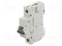 ETI POLAM Interruptor magnetotérmico ETIMAT P10 1P B16 16A 10kA