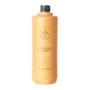 Lendan Rich Nutrition Champú 1000ml
