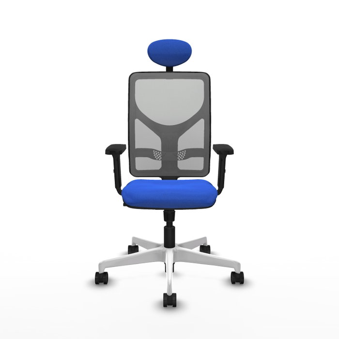 PIQUERAS Y CRESPO Silla de oficina Motilla con mecanismo Sincro, Azul y Gris PIQUERAS Y CRESPO Silla de oficina Motilla con mecanismo Sincro, Azul y Gris