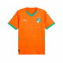 Camiseta de Fútbol de Manga Corta Hombre Puma Marfil Home Jersey Repl,Rickie 40