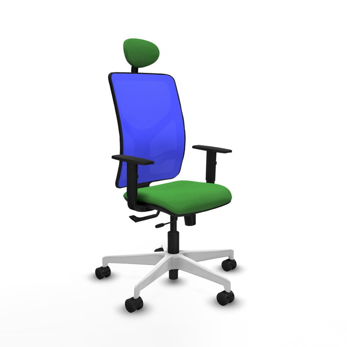 PIQUERAS Y CRESPO Silla de oficina Motilla con mecanismo Sincro/Traslack Verde y Azul PIQUERAS Y CRESPO Silla de oficina Motilla con mecanismo Sincro/Traslack Verde y Azul
