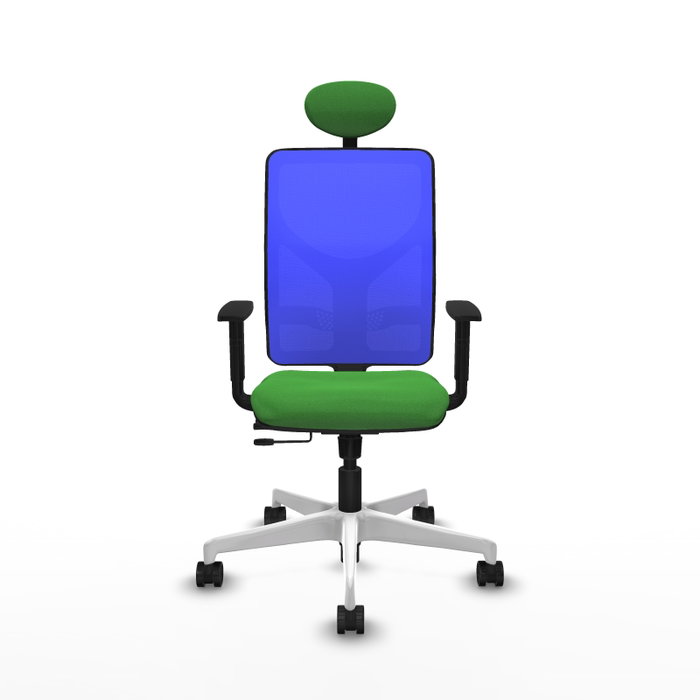 PIQUERAS Y CRESPO Silla de oficina Motilla con mecanismo Sincro/Traslack Verde y Azul PIQUERAS Y CRESPO Silla de oficina Motilla con mecanismo Sincro/Traslack Verde y Azul