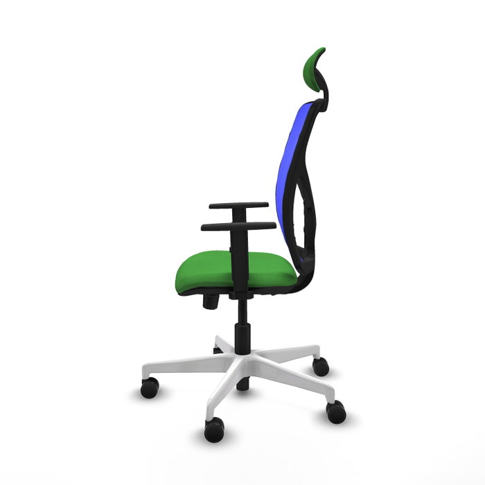 PIQUERAS Y CRESPO Silla de oficina Motilla con mecanismo Sincro/Traslack Verde y Azul PIQUERAS Y CRESPO Silla de oficina Motilla con mecanismo Sincro/Traslack Verde y Azul