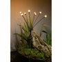 Galix Decoración de luz solar forma de ramo 8 LED 69 cm