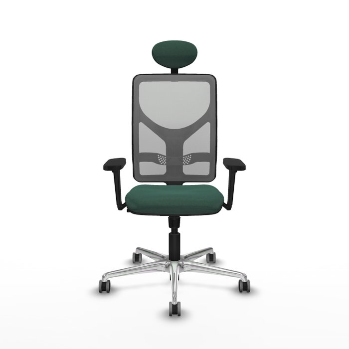 PIQUERAS Y CRESPO Silla de oficina Motilla con mecanismo Sincro, Verde botella y Gris PIQUERAS Y CRESPO Silla de oficina Motilla con mecanismo Sincro, Verde botella y Gris