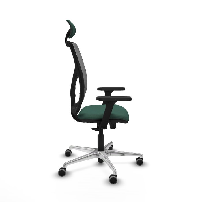 PIQUERAS Y CRESPO Silla de oficina Motilla con mecanismo Sincro, Verde botella y Gris PIQUERAS Y CRESPO Silla de oficina Motilla con mecanismo Sincro, Verde botella y Gris