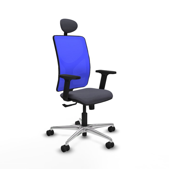 PIQUERAS Y CRESPO Silla de oficina Motilla con mecanismo Sincro, Gris oscuro y Azul PIQUERAS Y CRESPO Silla de oficina Motilla con mecanismo Sincro, Gris oscuro y Azul
