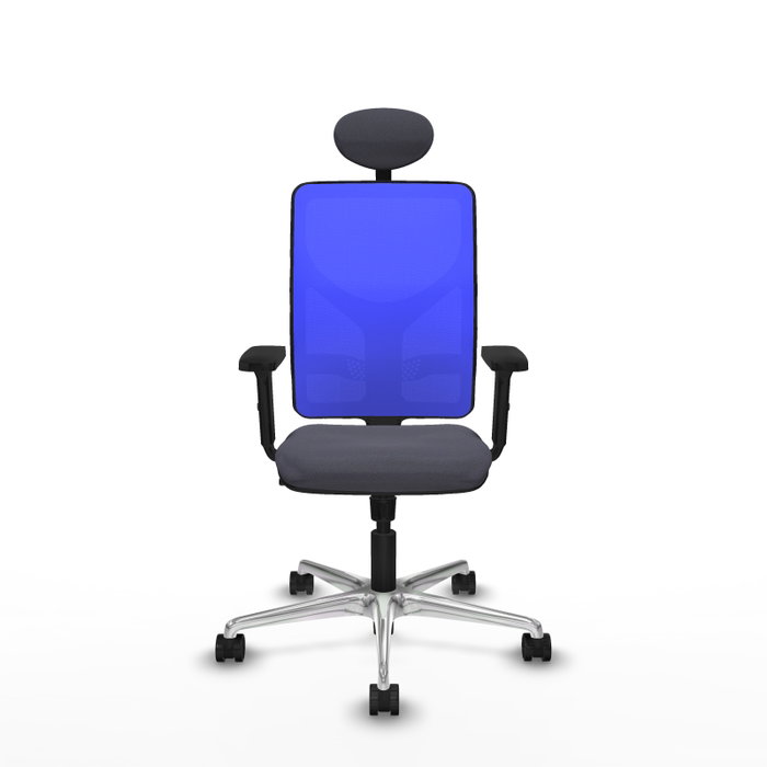 PIQUERAS Y CRESPO Silla de oficina Motilla con mecanismo Sincro, Gris oscuro y Azul PIQUERAS Y CRESPO Silla de oficina Motilla con mecanismo Sincro, Gris oscuro y Azul