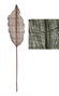 DKD Home Decor Decoración Bambú Hoja Marrón 32x5x200