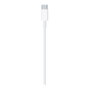 Apple Cable USB-C a Lightning 1 Metro para iPhone/iPad - MM0A3ZM/A
