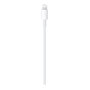 Apple Cable USB-C a Lightning 1 Metro para iPhone/iPad - MM0A3ZM/A
