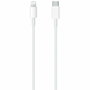 Apple Cable USB-C a Lightning 1 Metro para iPhone/iPad - MM0A3ZM/A