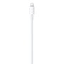 Apple cable usb-c a lightning 1m mm0a3zm/a