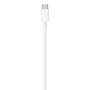 Apple cable usb-c a lightning 1m mm0a3zm/a