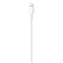 Apple cable usb-c a lightning 1m mm0a3zm/a