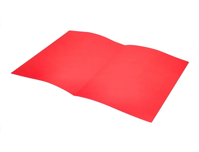 Liderpapel Subcarpeta de archivo folio rojo intenso 180g/m2 Liderpapel Subcarpeta de archivo folio rojo intenso 180g/m2