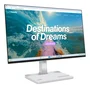 Lenovo L24D-4C Monitor Business Cloud grey 23,8 pulg Full-HD IPS 144Hz