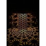 Garden Id Lámpara solar Columna Oro-Negro Ø15 H30 cm