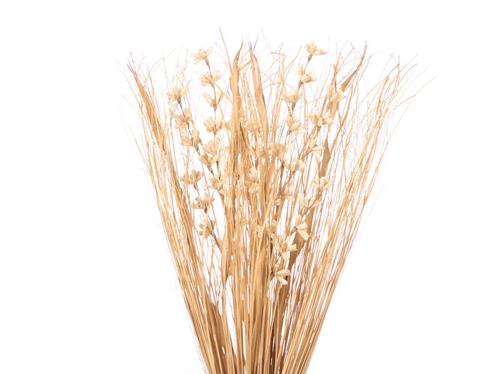 Giftdecor Ramillete Cuadrado Natural, Materia Vegetal Seca, Color Natural, 14 cm x 100 cm x 10 cm (Set de 4)
