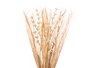 Giftdecor Ramillete Cuadrado Natural, Materia Vegetal Seca, Color Natural, 14 cm x 100 cm x 10 cm (Set de 4)