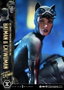 DC Comics Estatua Ultimate Premium Masterline Series 1/4 Batman & Catwoman (Concept Design by Clay Mann) 56 cm
