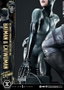 DC Comics Estatua Ultimate Premium Masterline Series 1/4 Batman & Catwoman (Concept Design by Clay Mann) 56 cm