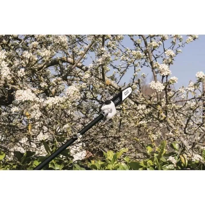 Scheppach Desbrozadora de Gasolina 52CC 4 en 1 (Desbrozadora, Podadora, Cortasetos, Bordeadora)