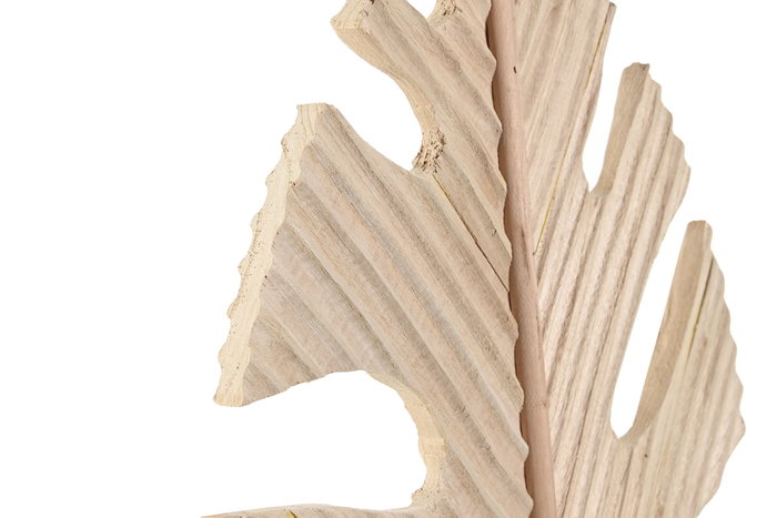 DKD Home Decor Decoración Paulownia Hoja Natural 38,5x2,3x59 cm
