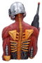 Nemesis Now Iron Maiden Busto Somewhere In Time