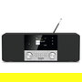 TechniSat DIGITRADIO 4 C Sintonizador DAB+ y FM con Bluetooth, Negro y Plata