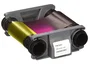 Badgy Cinta de Color YMCKO para 100 Impresiones CBGR0100C