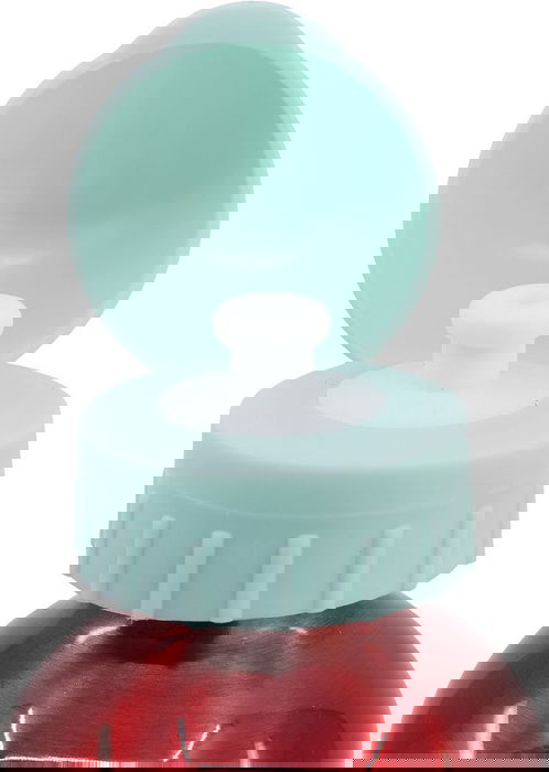 Botella de Agua Minnie Mouse CZ11263 530 ml Rojo Aluminio