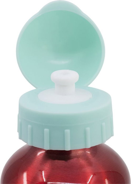 Licensing Botella Alta Aluminio 530ml Minnie