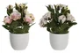 DKD Home Decor Planta de Rosas Surtida en Poliéster y PE