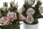 DKD Home Decor Planta de Rosas Surtida en Poliéster y PE