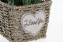 DKD Home Decor Planta Lila Natural Metal Pe 12 x 22 x 12 cm (6 Unidades)