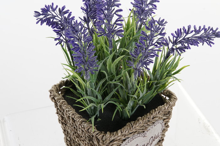 DKD Home Decor Planta Lila Natural Metal Pe 12 x 22 x 12 cm (6 Unidades)