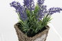 DKD Home Decor Planta Lila Natural Metal Pe 12 x 22 x 12 cm (6 Unidades)