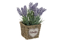 DKD Home Decor Planta Lila Natural Metal Pe 12 x 22 x 12 cm (6 Unidades)